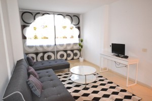 one bedroom apartments on parque santiago 2