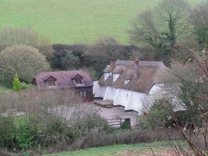 torquay thatched cottages