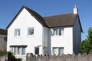 torquay dog friendly cottages